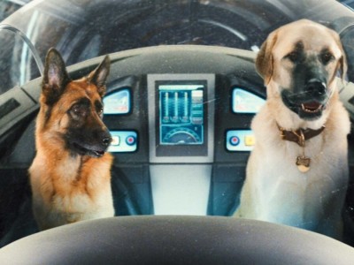 Кошки против собак: Месть Китти Галор