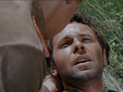 Дачная поездка сержанта Цыбули (2)