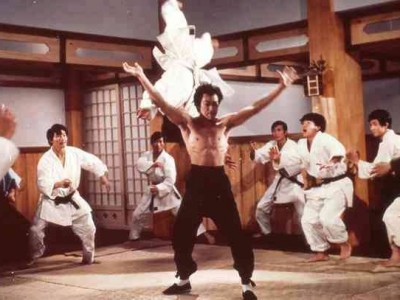 Кулак ярости (5)