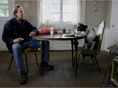 Собачий год (2)