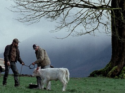 Единственный выстрел (5)