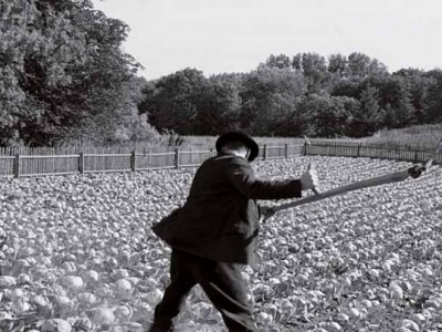 Белая лента (6)