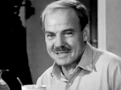 Птицы над городом