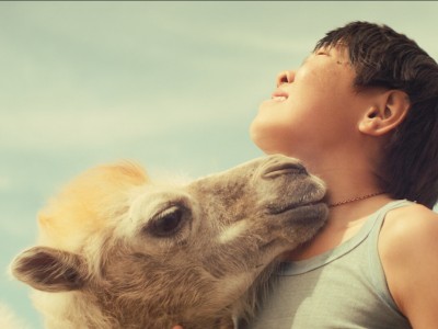 Небесный верблюд