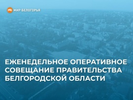 Еженедельное оперативное совещание правительства Белгородской области