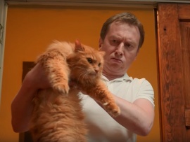 Котострофа