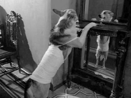 Сабачае сэрца (2)