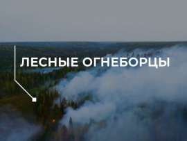 Лесные огнеборцы
