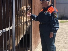 На службе человеку