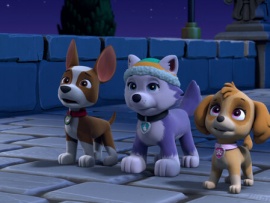 Щенячий патруль: Улетная помощь (4)