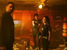 Плохие парни навсегда (5)