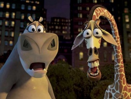 Мадагаскар (3)