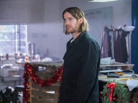 Рождество кота Боба (4)