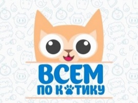 Всем по котику