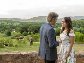 Любовь на сафари