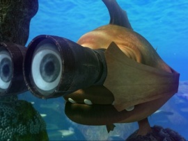 Риф 3D (5)