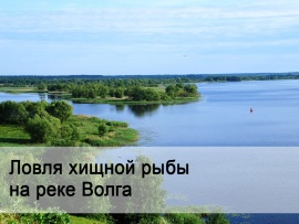 Ловля хищной рыбы на реке Волга
