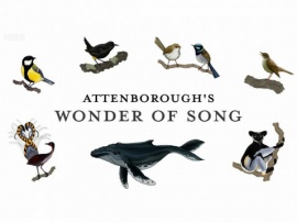 Волшебные песни животных с Дэвидом Аттенборо