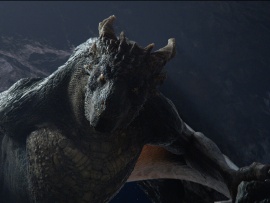 Он - дракон (3)