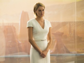 Дивергент: За стеной (5)