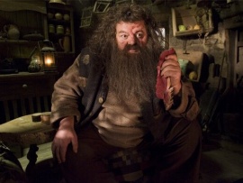 Гарри Поттер және Самұрық ордені (4)