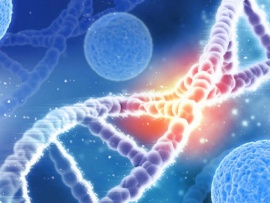Генетика и стволовые клетки