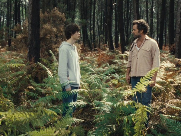 Королевство зверей (5)