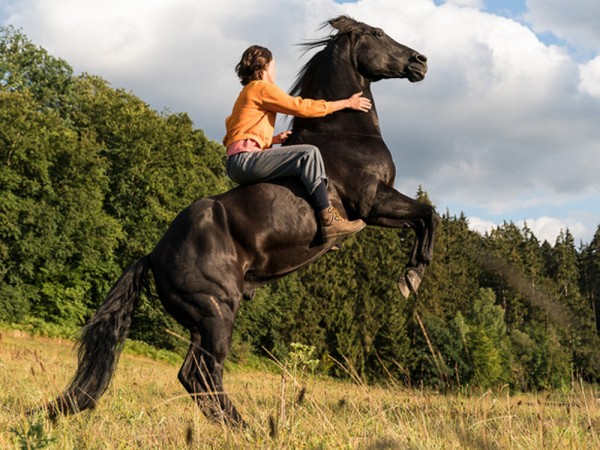 Восточный ветер 4: Легенда о Воине