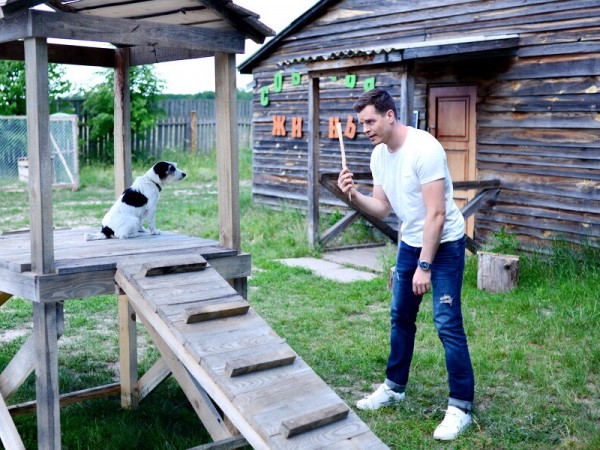 Воспитание и выгул собак и мужчин (4)