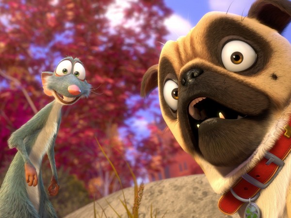 Реальная белка (2)