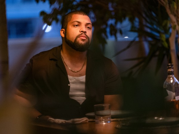 Охота на воров-2: Пантера (4)