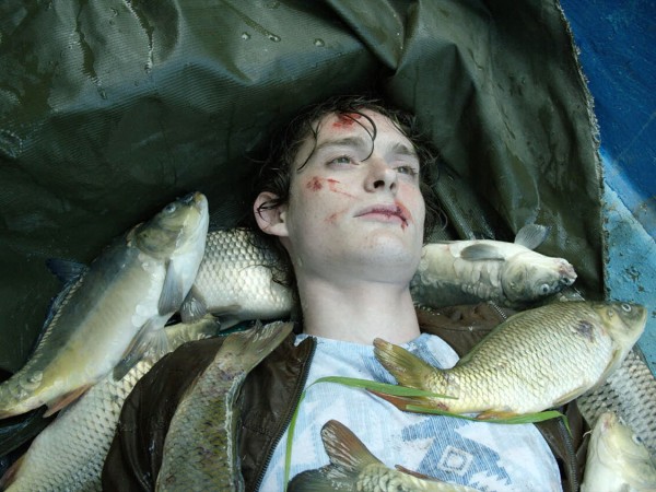 Мёртвые ласточки (3)