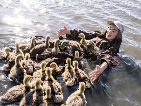 Расправь крылья (3)