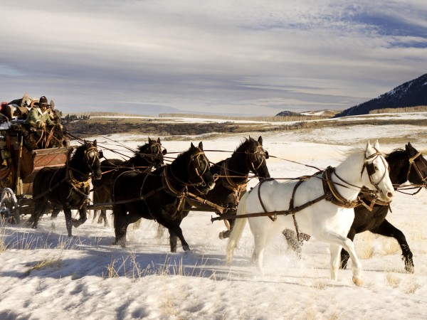 Омерзительная восьмерка (5)