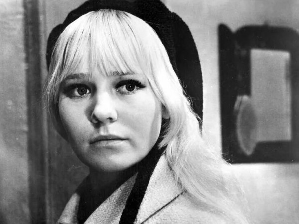 День солнца и дождя (3)