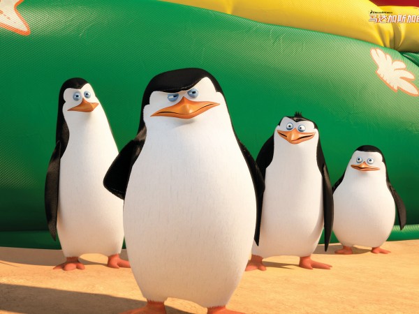 Пингвины Мадагаскара