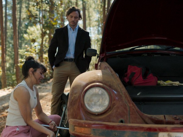 Любовь как бестселлер (5)