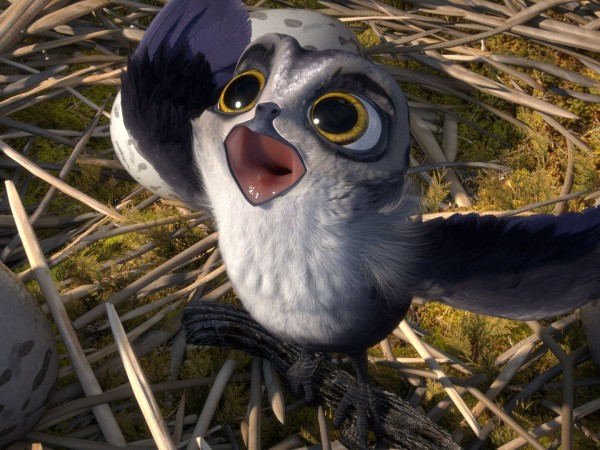 Птичий дозор (4)