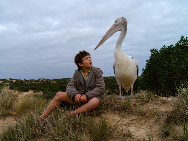 Мой друг мистер Персиваль