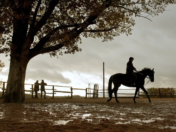 Большие скачки (3)