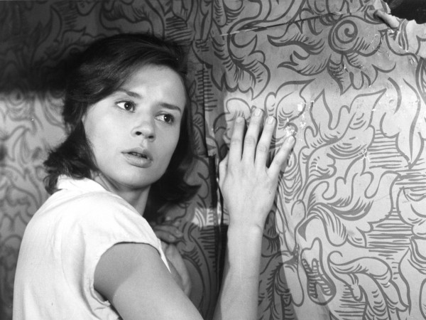 Сквозь тёмное стекло (2)