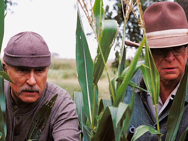 Подержанные львы (2)