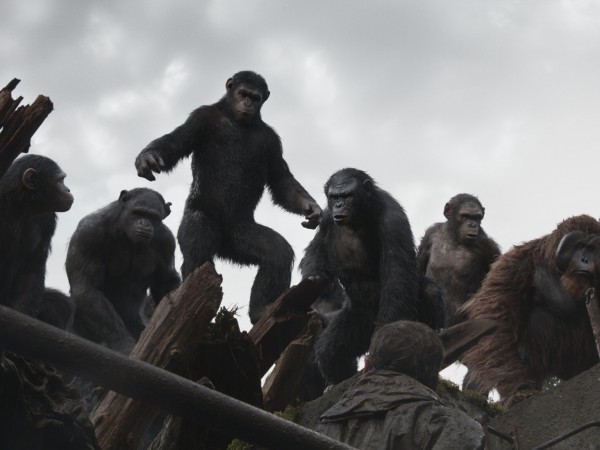 Планета обезьян: Революция (5)