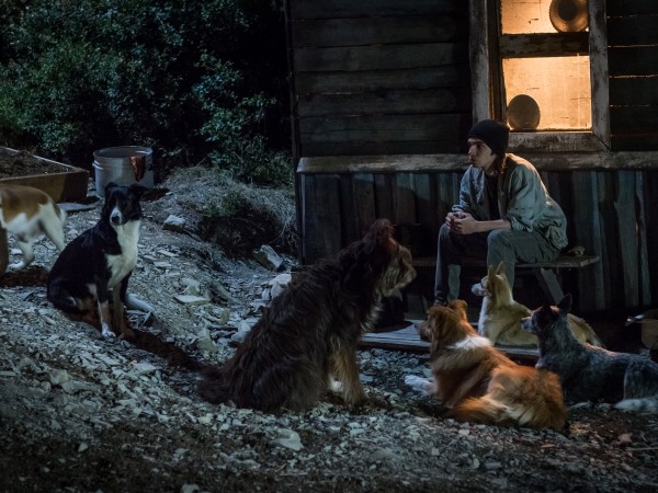 СуперБобровы (4)