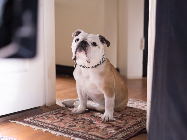 Патерсон (4)