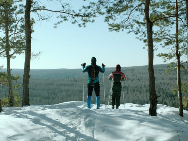 Подельники (4)