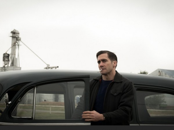 Дикая жизнь (6)