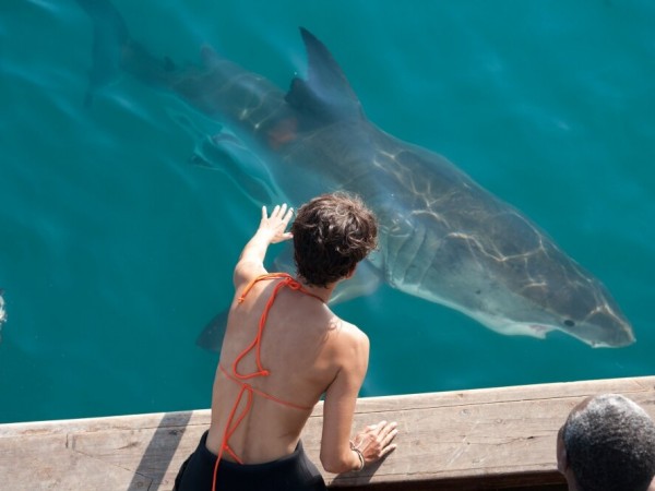 Заклинательница акул