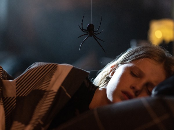 Черная вдова. Укус смерти (3)