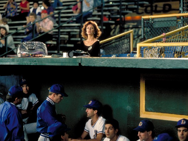 Дархэмские быки (2)